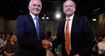 tunbull-shorten