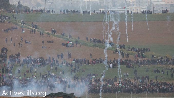 palestine palestine
