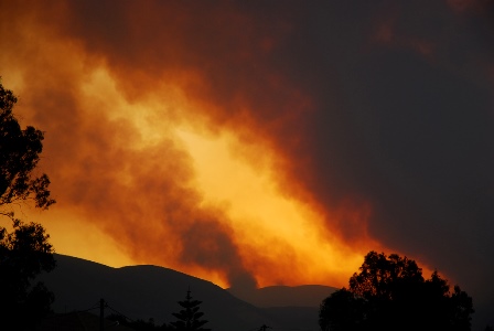 Greece_Forest_Fire_July_25_2007