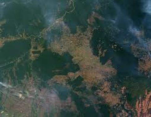 Amazon rainforest fires