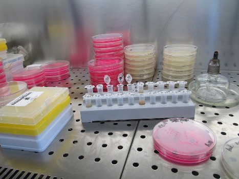 Big pharma lab