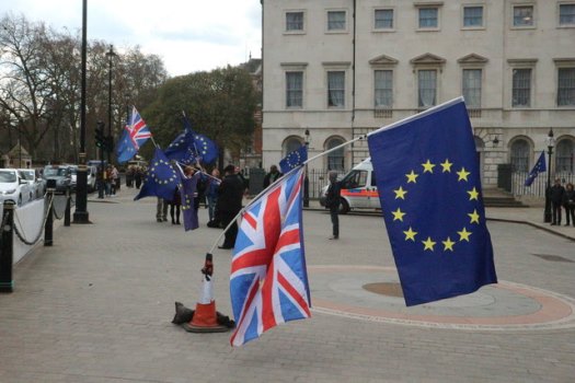 anti brextit protesters