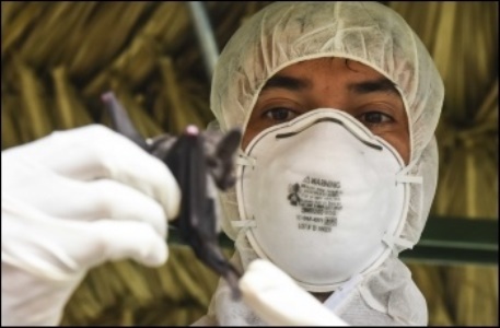 Coronavirus 2
