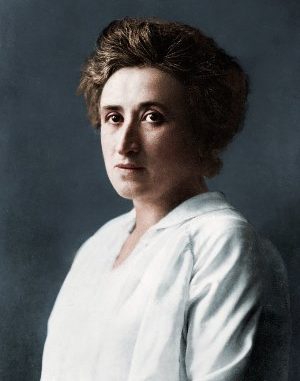 Rosa L IWD